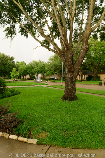 Katy, Houston, TX, USA